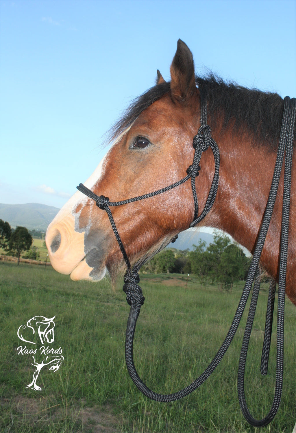 heavy duty halter and lead rope horse