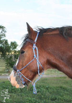 Bitless Bridle With Leather Noseband and Browband