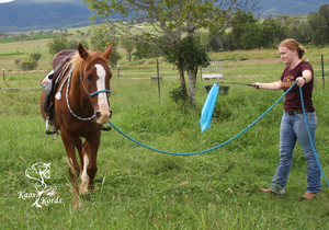 horsemanship training flag afterpay