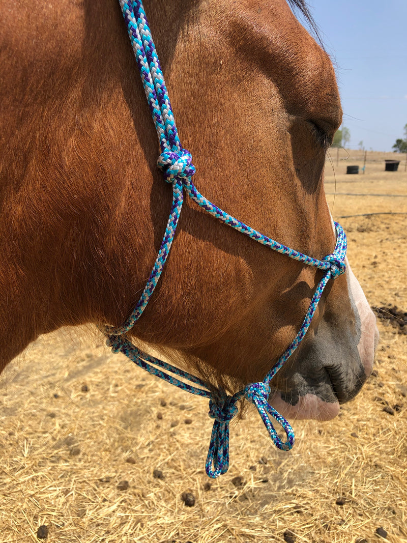 Side pull/Riding Halter Loop Rein Attachment 6mm or 8mm