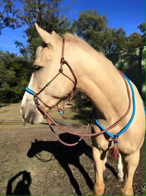Side Pull/Riding Halter With Flat Braid