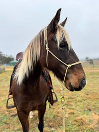 Rope Halter 6mm No Braid