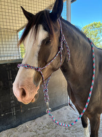 Rope Training Halter With 4 Knots Across Nose 6mm or 8mm