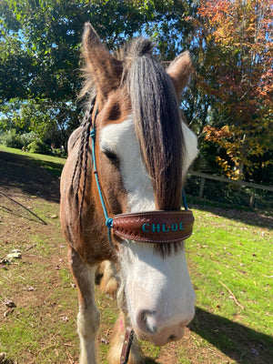Halter With Name Noseband Painted Bronc Style