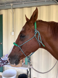Halter With Padded Nose and Poll