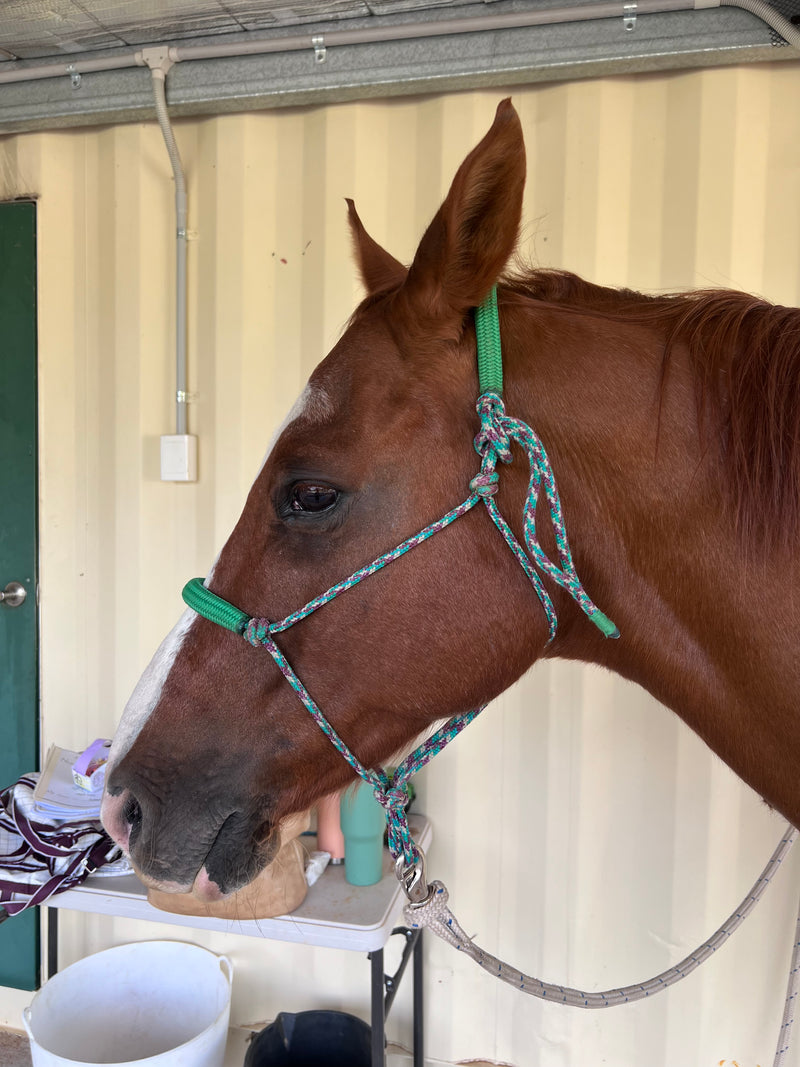 Halter With Padded Nose and Poll