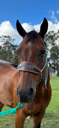 Halter With Name Noseband Painted Bronc Style