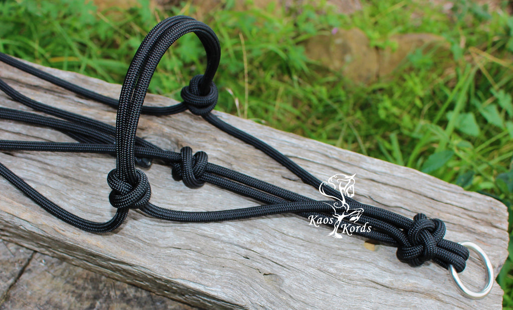 rope halter with ring