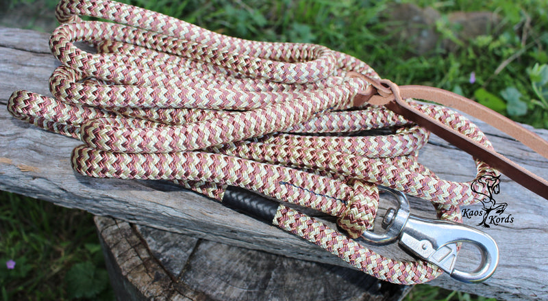 horse training lead with bull snap