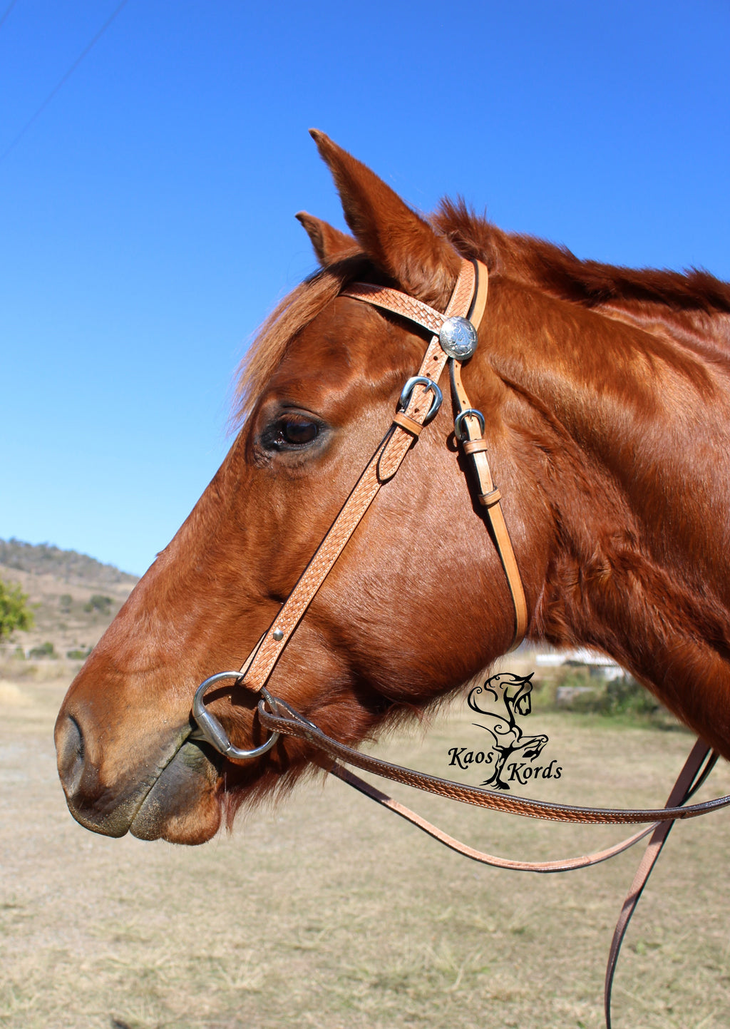 Leather Bridle With Waffle Weave And Matching Reins