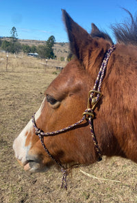 Quick on Rope Halter