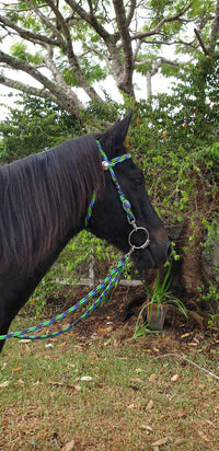 Flat Style Rope Bridle 12mm With Clips