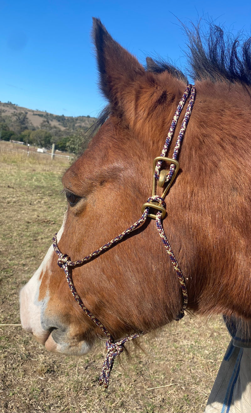 Quick on Rope Halter