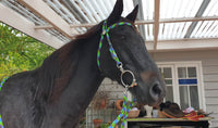 Flat Style Rope Bridle 12mm With Clips