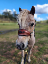 Halter With Name Noseband Painted Bronc Style
