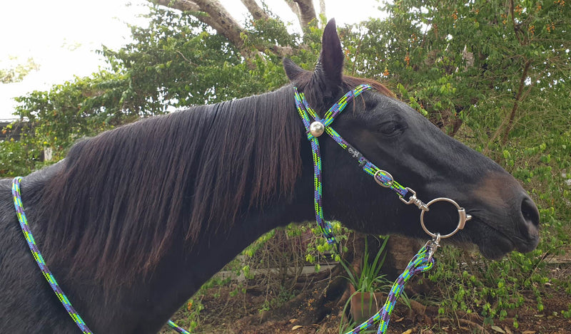 Flat Style Rope Bridle 12mm With Clips