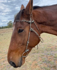 Rope Bridle 6mm Rope