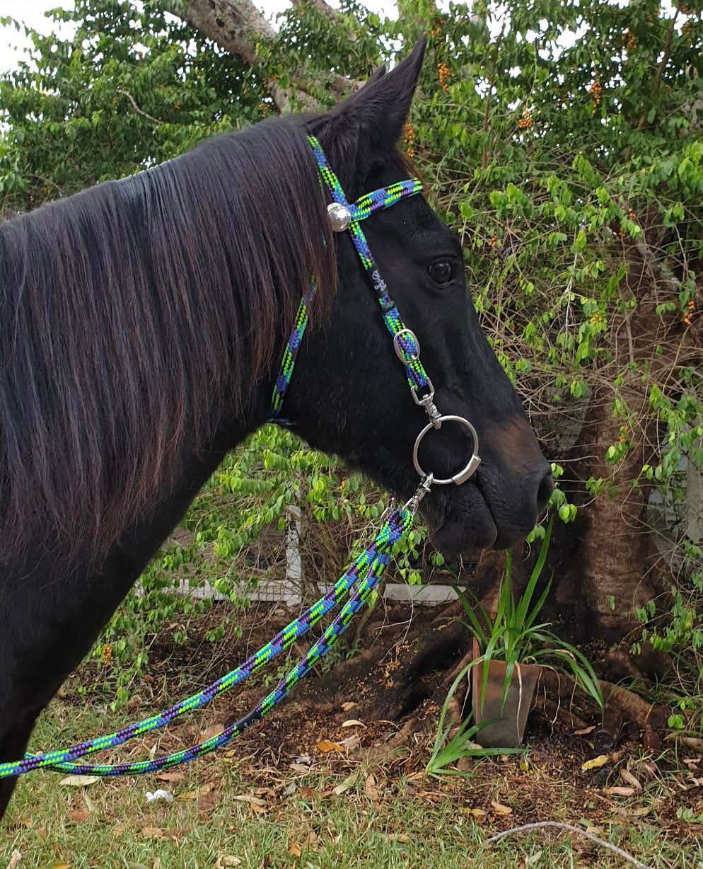 Flat Style Rope Bridle 12mm With Clips