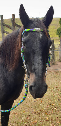 Flat Style Rope Bridle 12mm With Clips