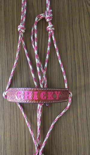 Halter With Name Noseband Painted Rectangle Shape