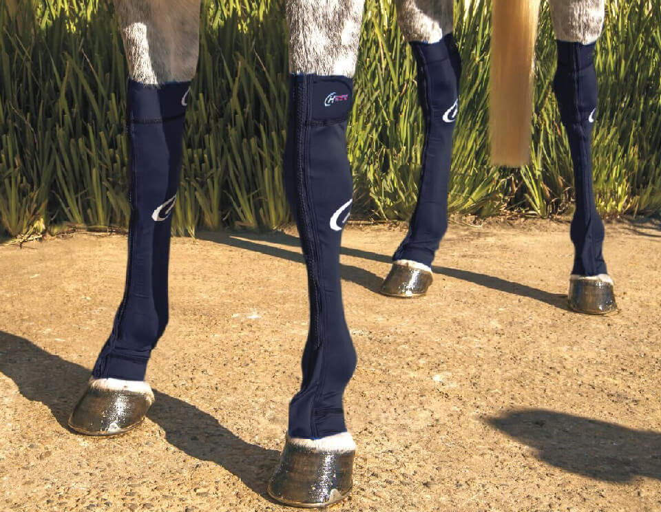 Hidez Equine Compression Socks Black
