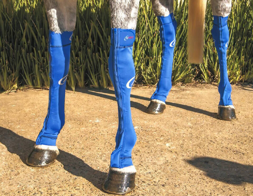 Hidez Equine Compression Socks Blue