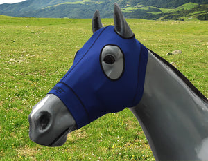 hidez hood blue