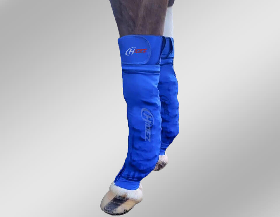 Hidez Equine Ice Compression Socks Blue