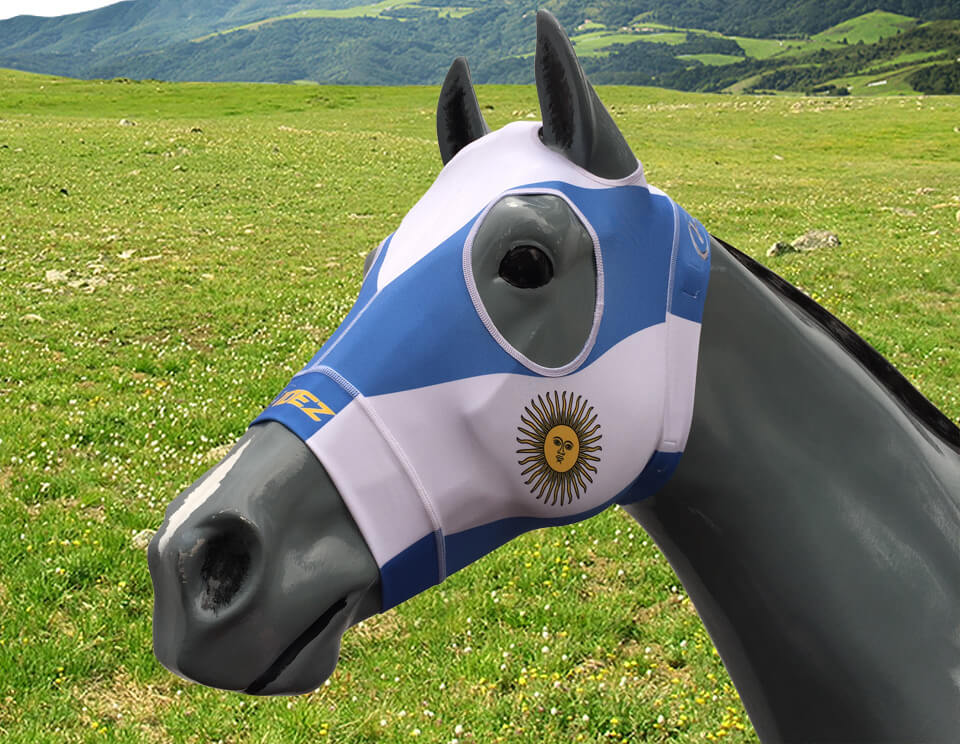 Hidez Compression Hood Chile