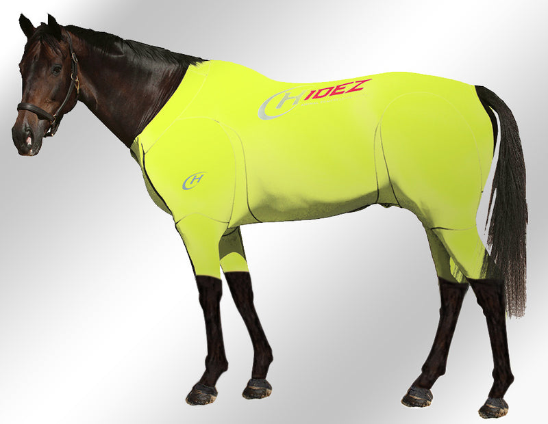 Hidez Active Suit fluro yellow