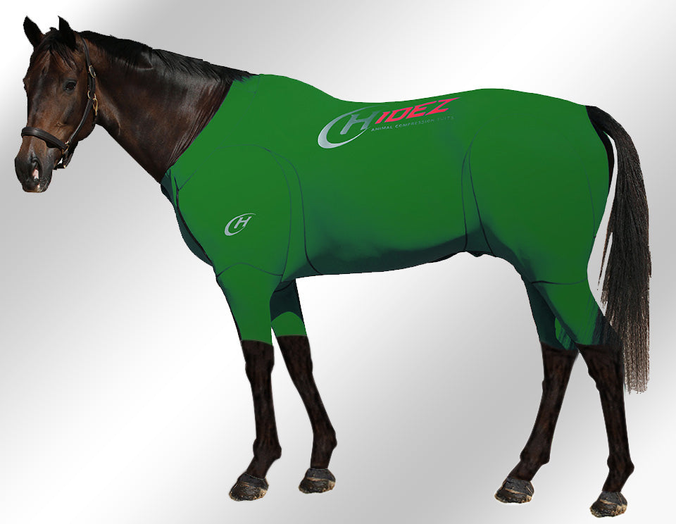 Hidez Active Suit green