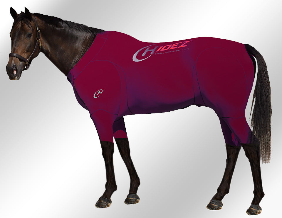 Hidez Active Suit maroon