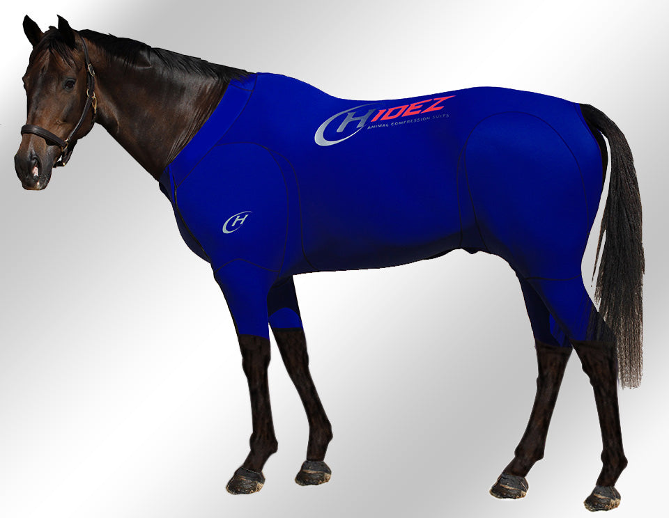Hidez Active Suit navy