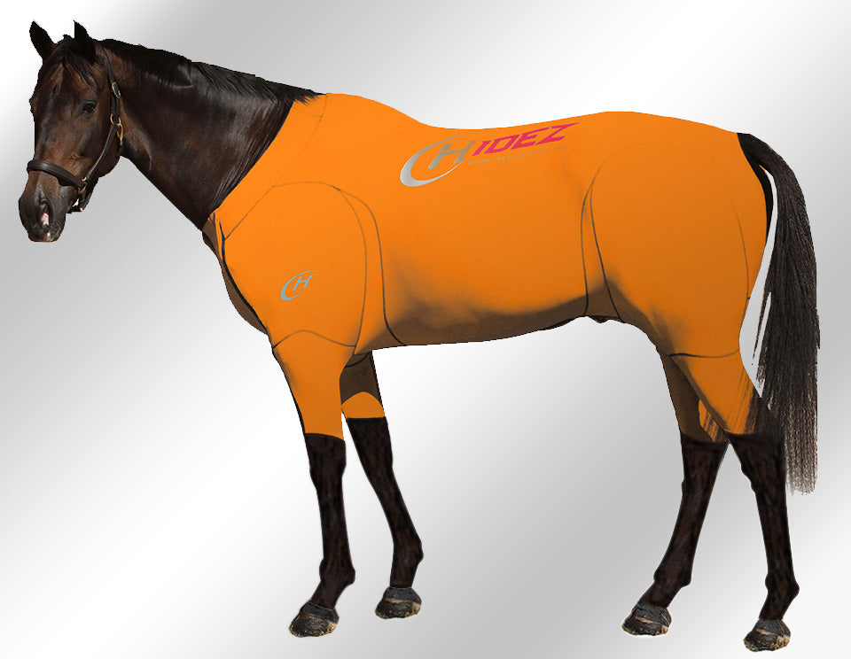 Hidez Active Suit orange