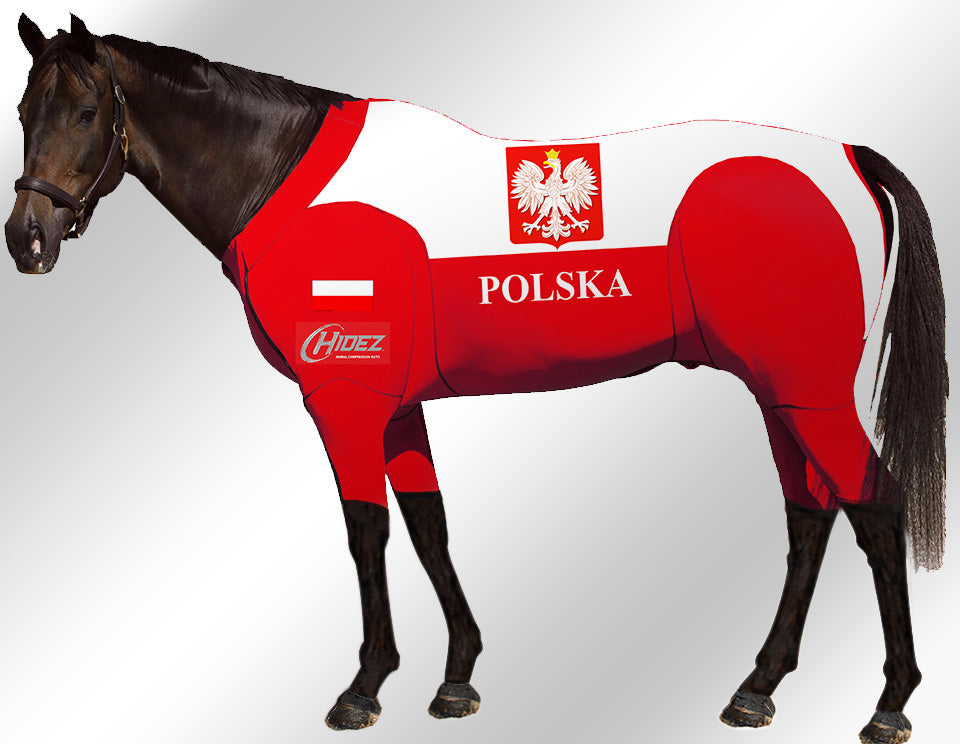 Hidez Active Suit poland