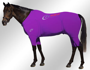 Hidez compression suit purple