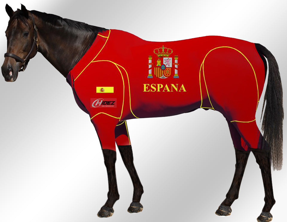Hidez compression suit spain
