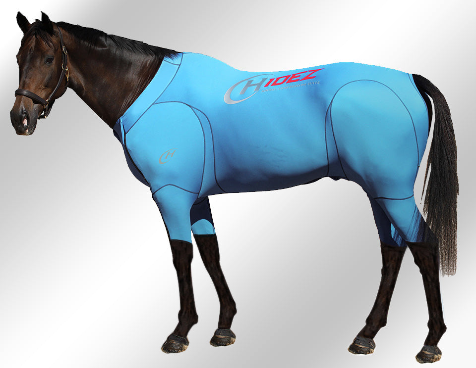 Hidez Active Suit turquoise