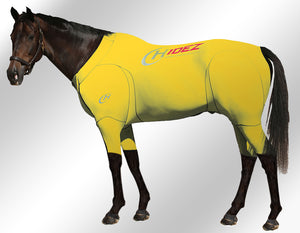 Hidez compression suit yellow