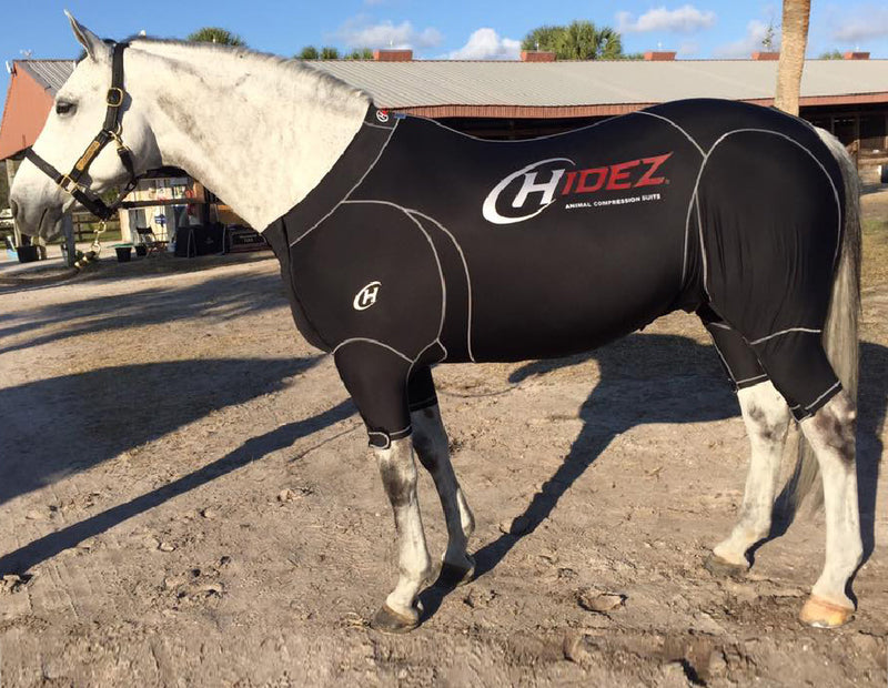Hidez Equine Active Suit Black