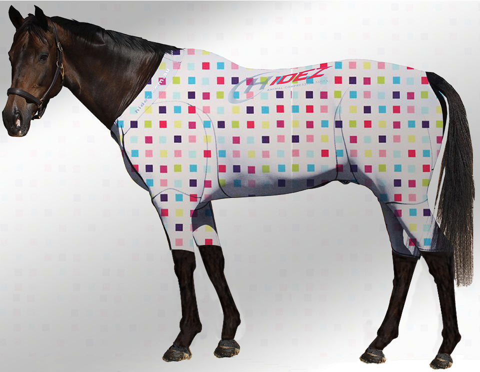 Hidez Active Suit multi check
