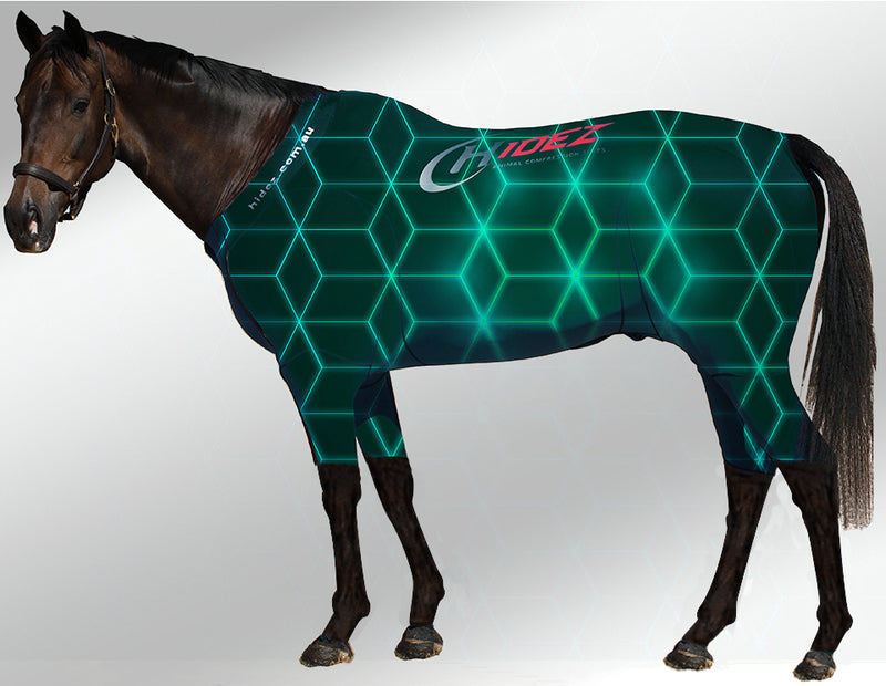 hidez active suit neon squares