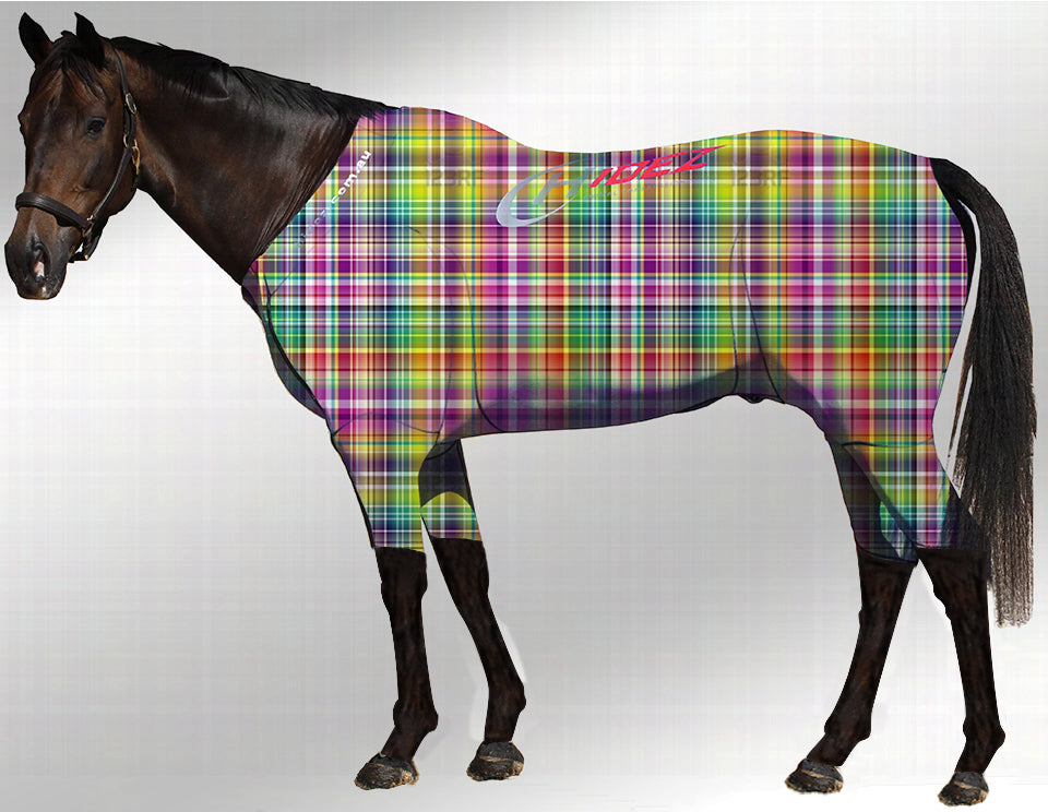 rainbow hidez active suit