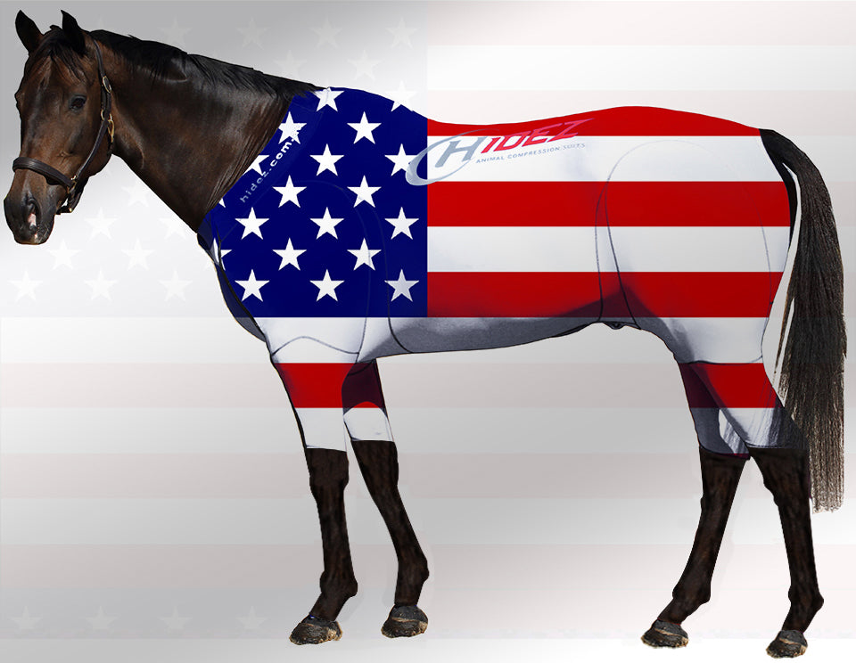 Hidez Equine Active Suit