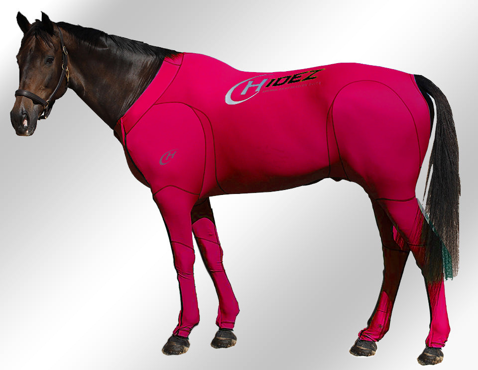 Hidez compression suit