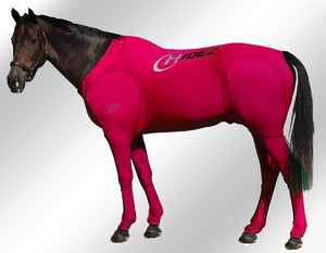 Hidez compression suit