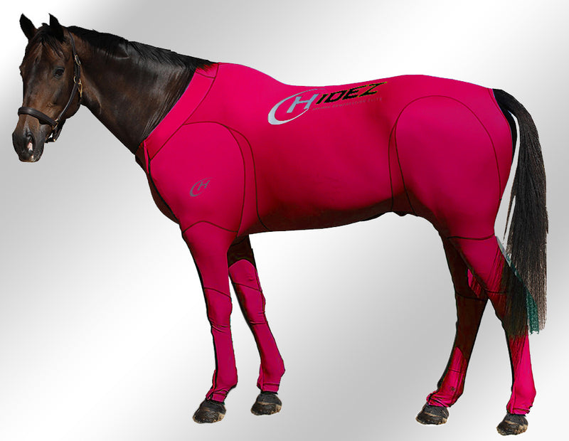 Hidez compression suit