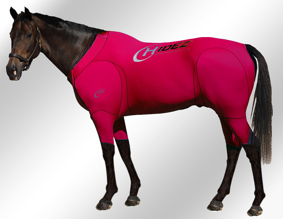 Hidez active suit fuschia