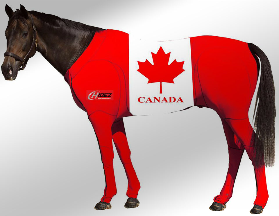 hidez compression suit canada