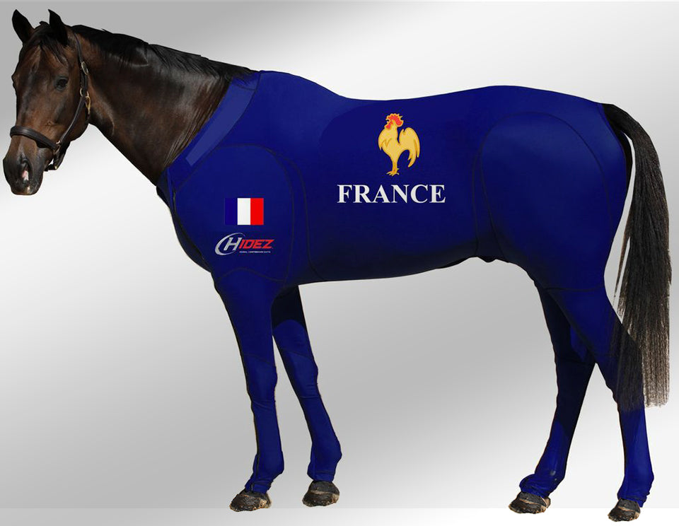 france hidez horse